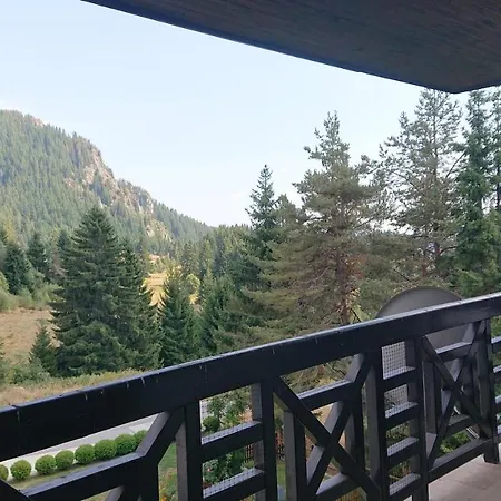 Mountain View 541 شقة فندقية