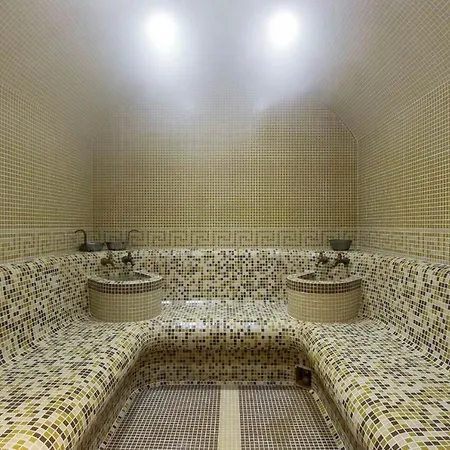 公寓式酒店 Mountain View 541 4*